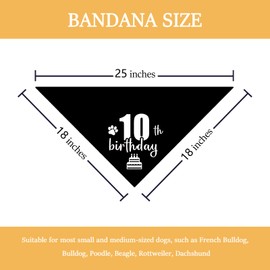 Dog 10th Birthday Bandana Puppy 10th Birthday Bandana Boy Girl Dogs Birthday Photo Prop Pet Scarf Pet Accessories for Dog Lover