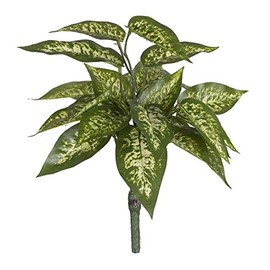 Vickerman 522127-11" Green Dieffenbachia Bush 3/Pk (FQ181601) Home Office Picks and Sprays