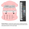 61Key Mini Electric Piano Black MultiFunctional Studio Toy with Microphone