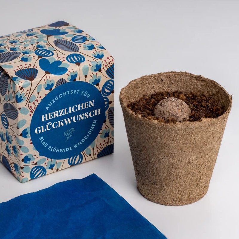 Resetea Growing Set Happy Birthday, Levkojen, St. John's Wort and