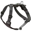 HUNTER AALBORG MIXED Dog Harness Black / Grey Cowhide Leather