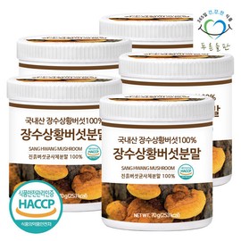green fields Pureun Deulpan Domestic Longevity Sanghwang Mushroom Powder 70g x 5 containers Mud Mushroom / 푸른들판 국내산 장수 상황 버섯 분말 가루 70gx5통 진흙버섯