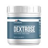 Earthborn Elements Dextrose Sugar Substitute, Always Pure (2.2 Pound)