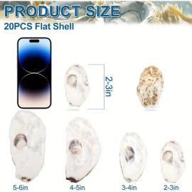 20pcs Large Natural Oyster Shells Flat Oyster Shells for Crafts DIY ArtsColor: 20pcs Flat oyster shell 2"-3", Size: L