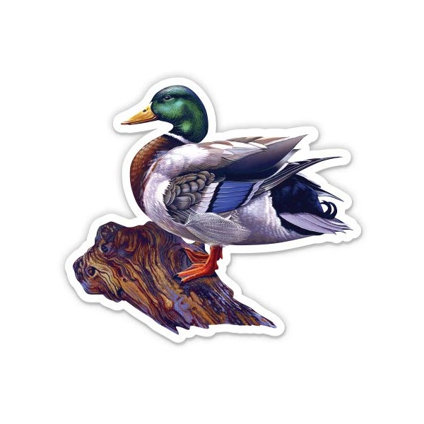 GT Graphics Mallard Duck - Vinyl Sticker Waterproof Decal