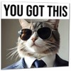 Good Luck Card - You Got This - Cool Cat