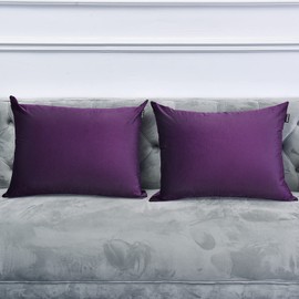 NianEr Fall Winter Velvet Pillowcases Set of 2 Pillow Cases with Zipper Closure Dark Purple, Standard