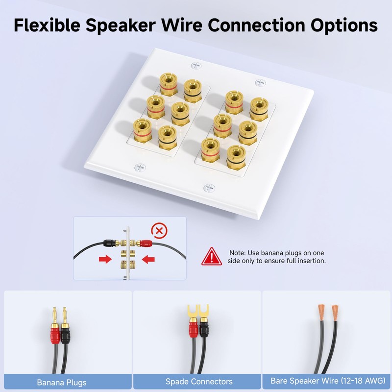 Cable Matters Double Gang Speaker Wire Wall Plate, Gold Plated
