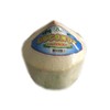 Fresh Young Coconut (Aroma Young Coconut) - Pack of 6