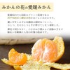 Unshu Mandarin Oranges, Mikan Flower, Ehime Mandarin Oranges, 11.0 lbs