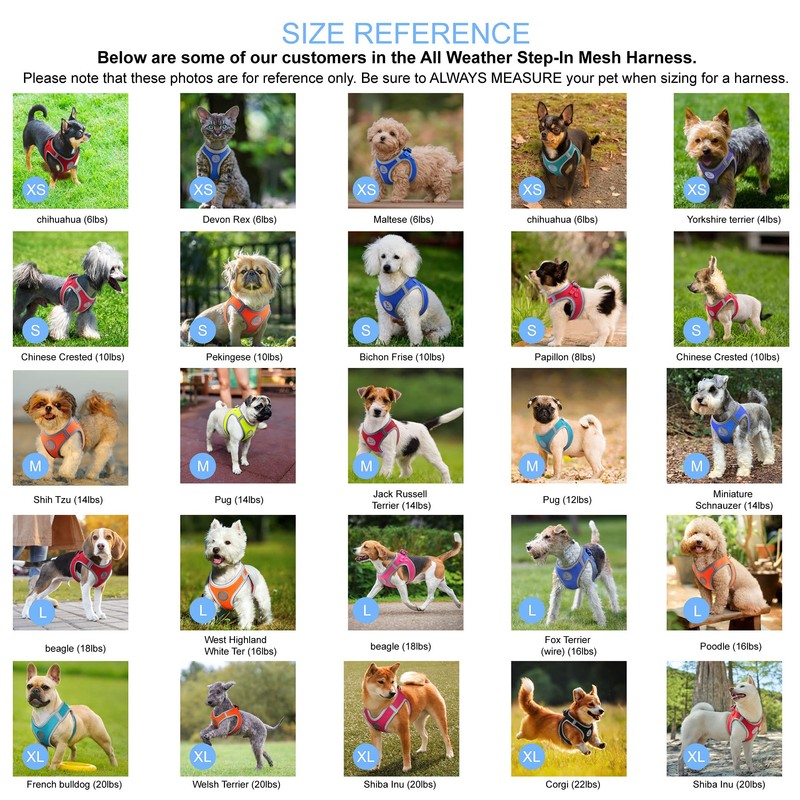 Kruz Dog Harness (Chest 20.5"-22", Weight 20–25 lbs) Athletica Adjustable