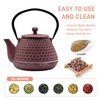 20.3oz Small Cast Iron Teapot, SECHUDO Cast Iron Tea Kettle