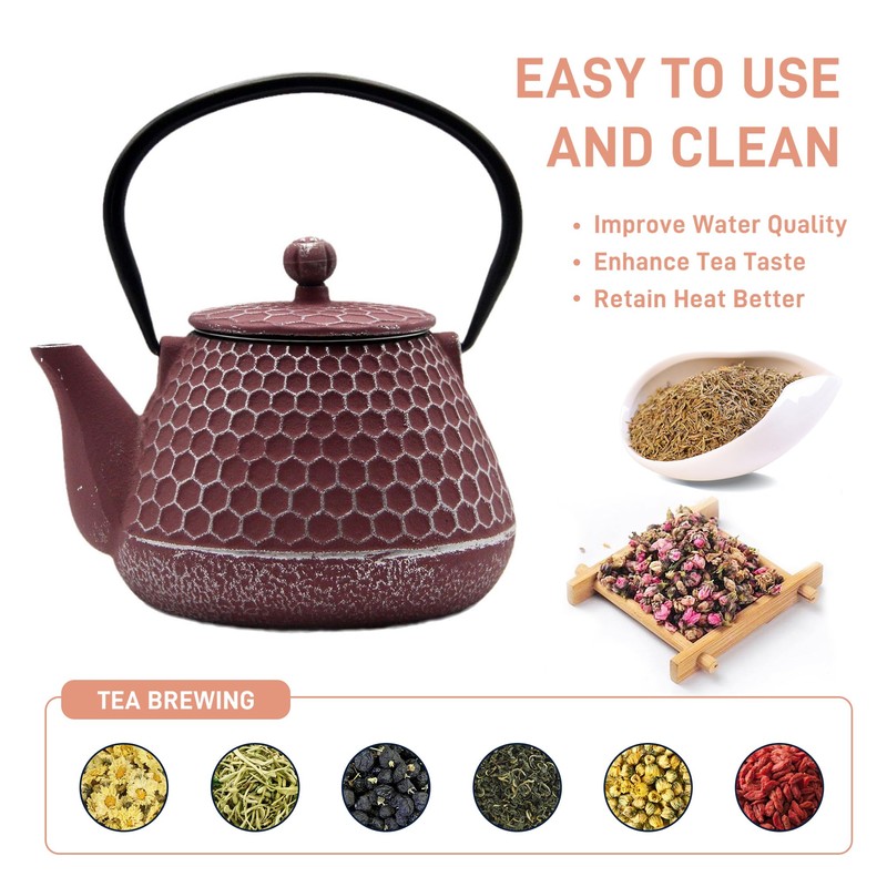 20.3oz Small Cast Iron Teapot, SECHUDO Cast Iron Tea Kettle