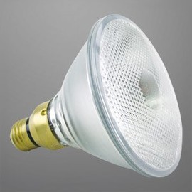 PAR38 FLOOD 60 WATTS 4,000 HOURS HALOGEN LIGHT BULB LONG LIFE 130 VOLTS"