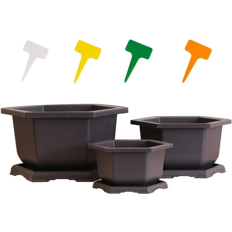 Mond Store Set of 6 Hexagonal Bonsai Training Pots with