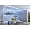 Paulmann 79879 LED Strip MaxLED 250 2.5 m Tunable White