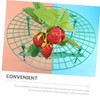 BIUDECO Pcs Strawberry Planting Brackets Plant Climbing Racks for Balcony