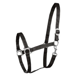 Perlon Headcollar for Warmbloods Black black Size:VB