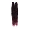 Alitress Passion Twist Braid Hair 22" (1/50, 24 Strands) (OM1B/PURPLE)