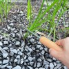 Gentpovth Pack of 2 Stainless Steel Gardening Hand Weed Cutters,