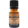 Cinnamon Leaf 100% Pure Essential Oil - 10 ml