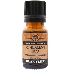 Cinnamon Leaf 100% Pure Essential Oil - 10 ml