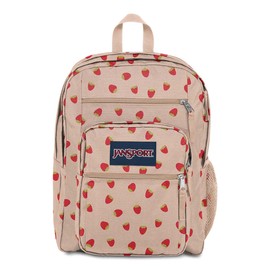 JanSport Laptop Backpack - Computer Bag with 2 Compartments, Ergonomic Shoulder Straps, 15” Laptop Sleeve, Haul Handle - Book Rucksack - Strawberry Shower