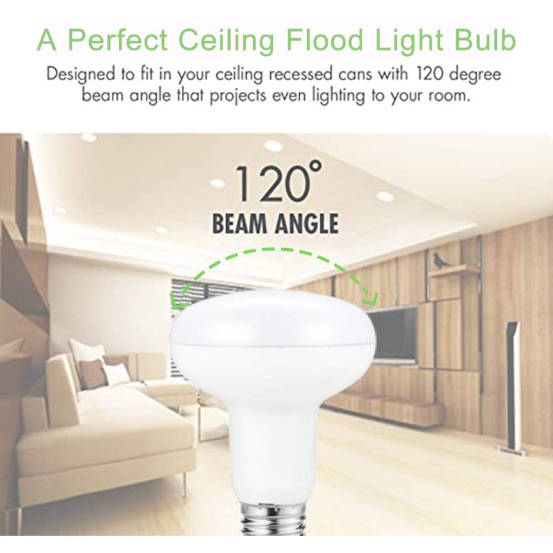 Small frog BR25/R25 Led Can Light Bulbs, 9W Dimmable Flood