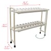 INTBUYING Hydroponic 36 Holes Plant Site Grow Kit Garden System