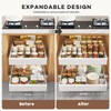 Seinloes 2 Pack Pull Out Cabinet Organizers 16.5" Deep With