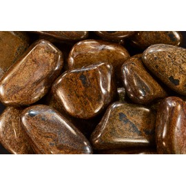 Rock Your Chakra Bronzite 2 1/2" 4-6 Oz Large Tumbled Stones Polished Rocks and Minerals Root Chakra Healing Crystals and Stones