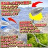 Fabulous Hall Bullet Sinker Tube, 1.4 oz (40 g), Set