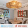 Bewishing 20'' Boho Gold-Colored Rattan Fandelier with Light & Remote