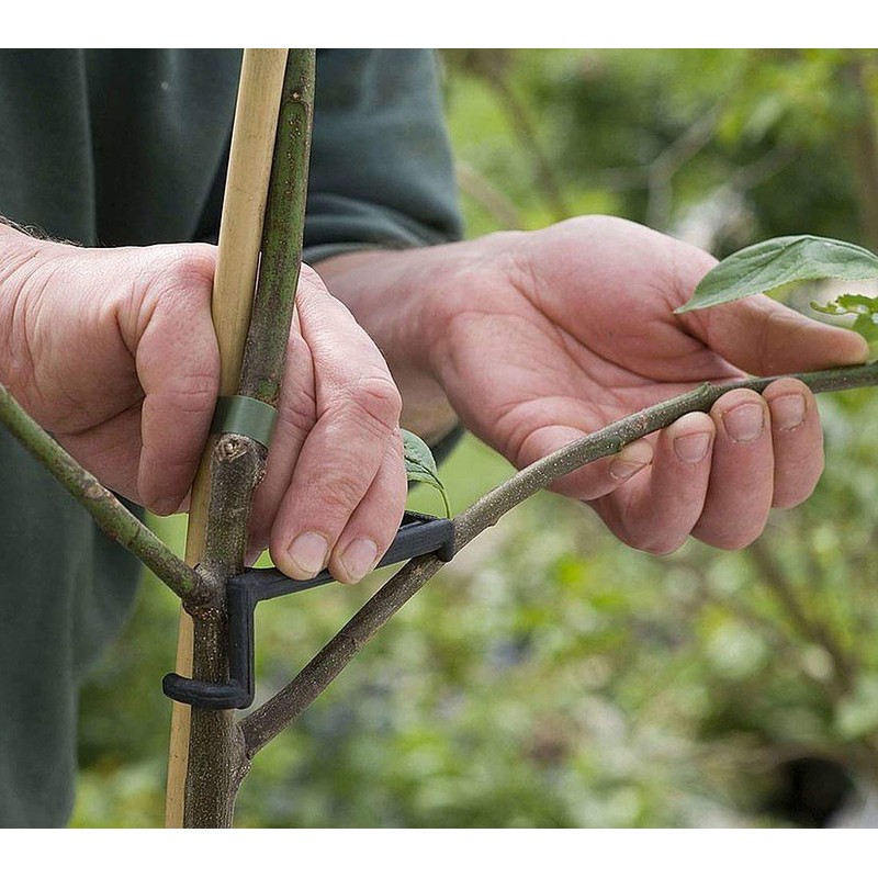 QiXin The Fruit Branch Spreader Forms Stronger Branches on Apples