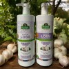 Spanish Garden The Original DHT BLOCK THERAPY HAIR LOSS GARLIC/GINKO