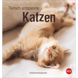 Tierisch entspannte Katzen Postkartenkalender 2025: Witzige Fotos verschlafender Stubentiger in einem Tischkalender zum Aufstellen oder Aufhängen. ... für Katzenfans. (Postkartenkalender Heye)