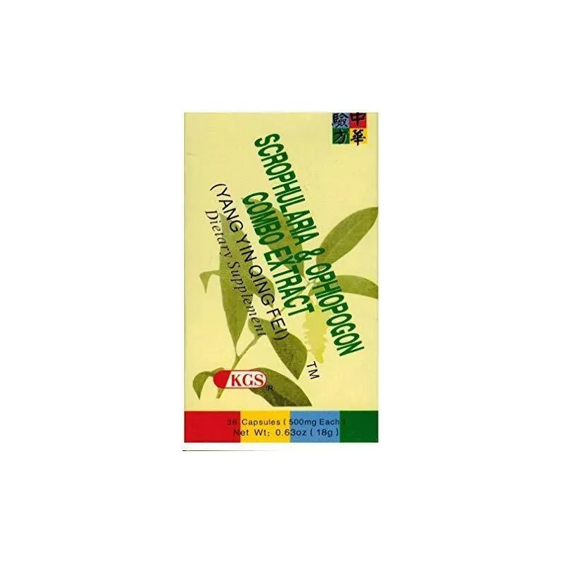 Kingsway LUNG CARE FORMULA - Yang Yin Qing Fei -