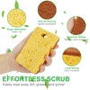 Biodegradable Natural Kitchen Sponge Eco Scratch Free Compostable Cellulose Sisal