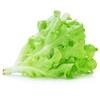 Lettuce Seeds - Leaf - Royal Oakleaf - 1 Lb