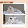 【Developed in collaboration with cat experts】A.P.D.C. Professional Cutie Conditioner for