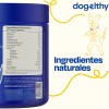 Dogelthy Pack De 2 Multivitamínicos 20 En 1 Para Perros