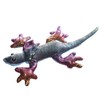 Small Sand Animal Frill Neck Lizard, assorted colours