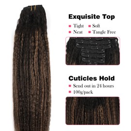 Sassina Clip ins Hair Extensions Kinky Straight Style Clip in for African American Women Natural Color to Chocolate Brown Double Weft Clip in Extensions 16 Inch 120 Gram 7 Pcs #T1B/1BP4