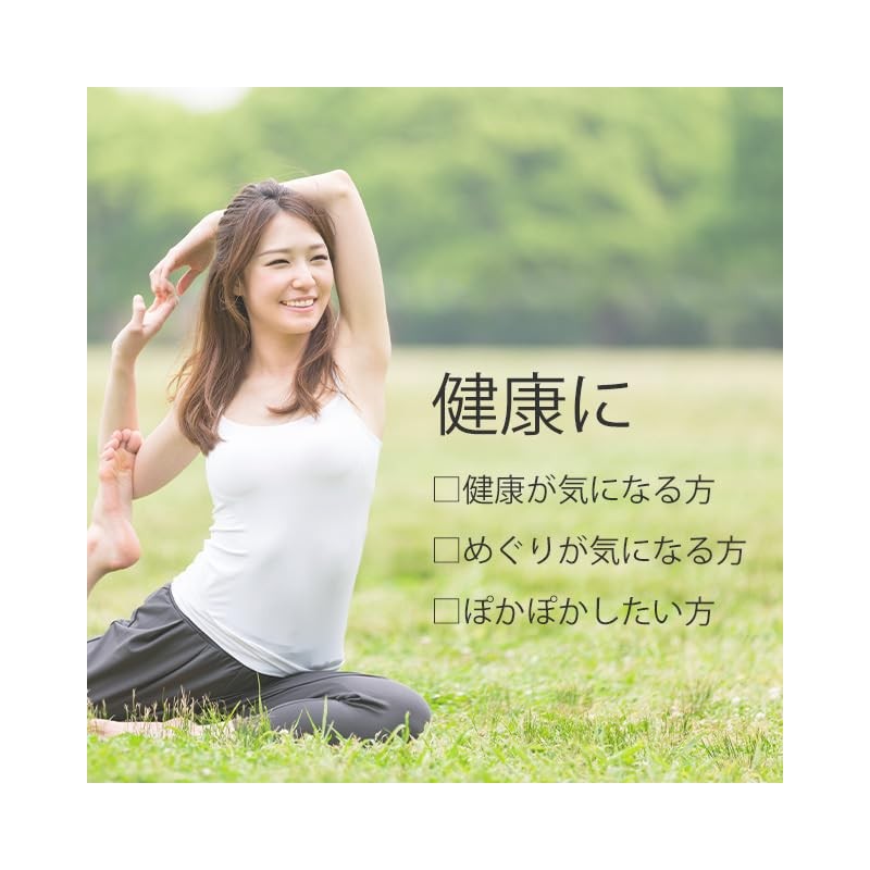 リプサ シナモン粒 約3か月分 T-601 サプリメント タブレット 国内製造