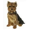 Dog Studies - Walkies Range Yorkshire Terrier Figurine with Lead Sitting LP8282