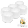 Extra Large Reusable Ice Cubes for Drinks(2” Sq.) - 6