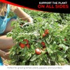 Cedar Ridge Square Foldable Tomato Cages - Heavy Duty Plant