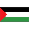 CafePress Palestine Flag Rectangle Sticker Rectangle Bumper Sticker Car Decal
