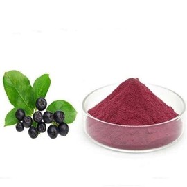 아로니아농축분말 100g Aronia Concentrated Powder 100g