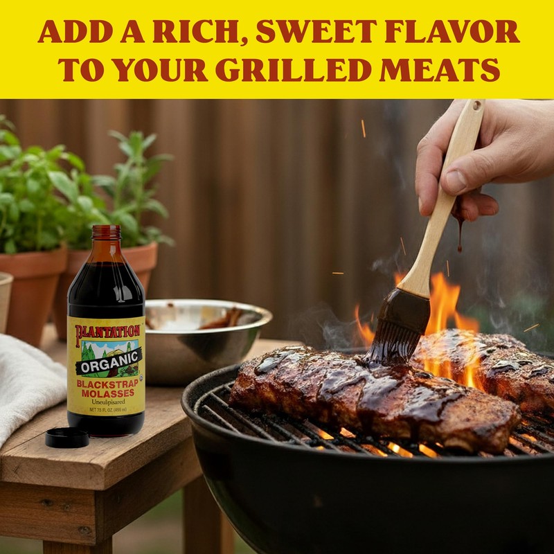 Plantation Organic Blackstrap Molasses 15 oz (Pack of 2) –